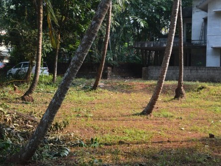 Property ID2446