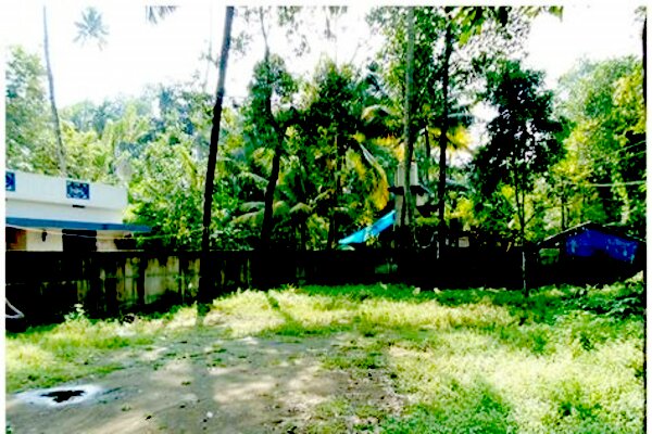 Property ID2454